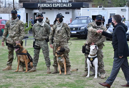 Perros de policia