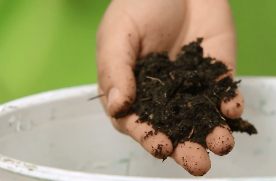 Compost