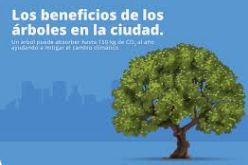 Beneficios de los arboles