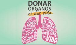 Donaci�n de �rganos