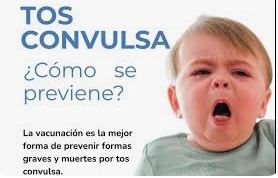 Tos convulsa
