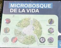 Microbosque