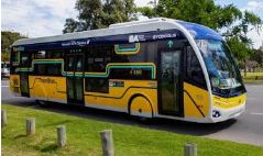 Trambus